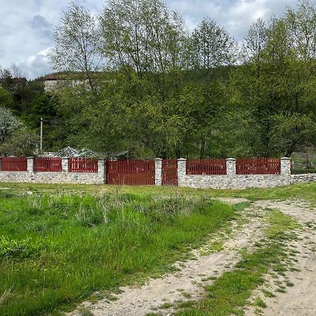 Hotel La Gradina Mehadija Zewnętrze zdjęcie