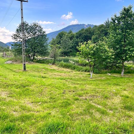 Hotel La Gradina Mehadija Zewnętrze zdjęcie