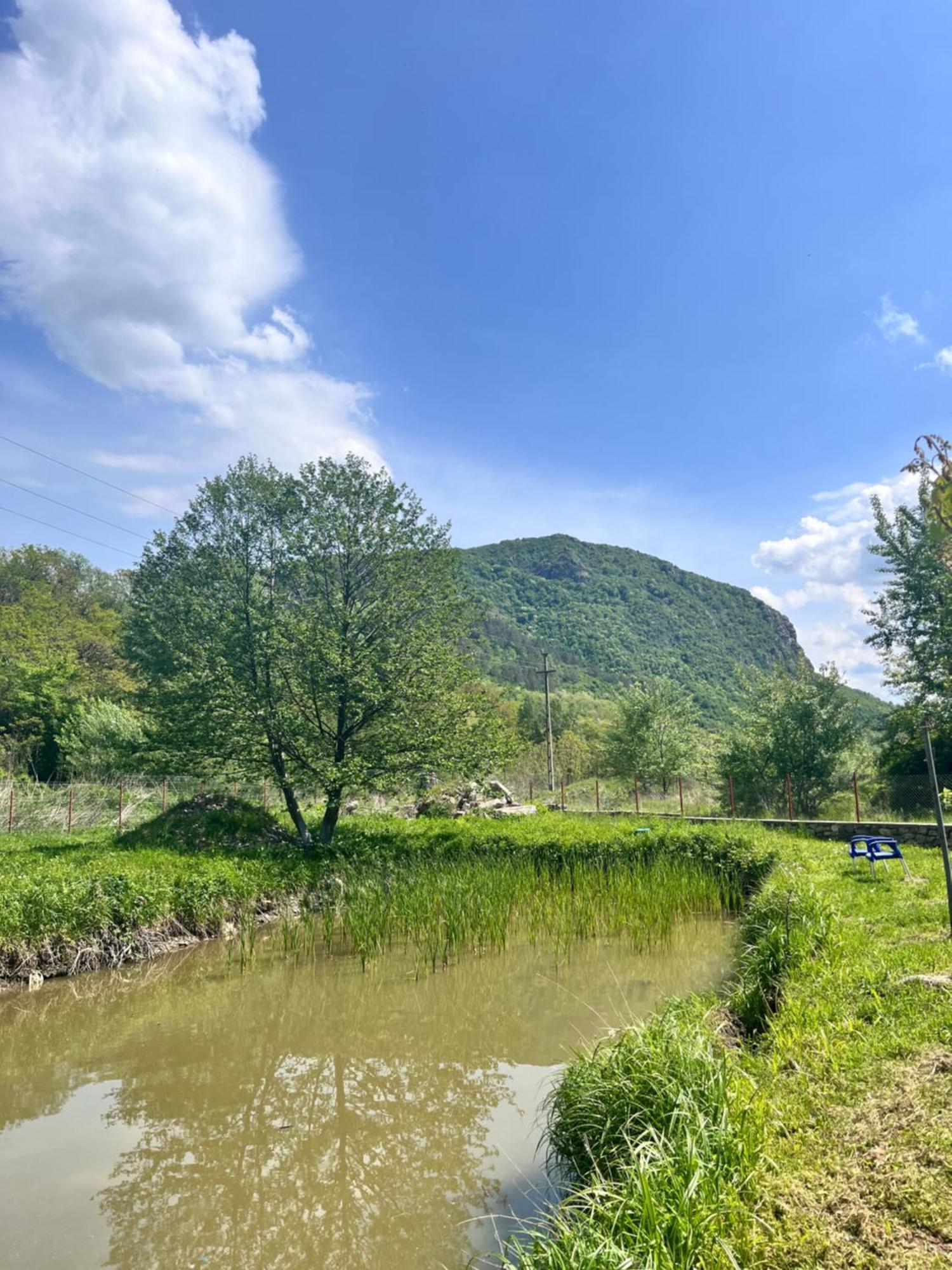 Hotel La Gradina Mehadija Zewnętrze zdjęcie