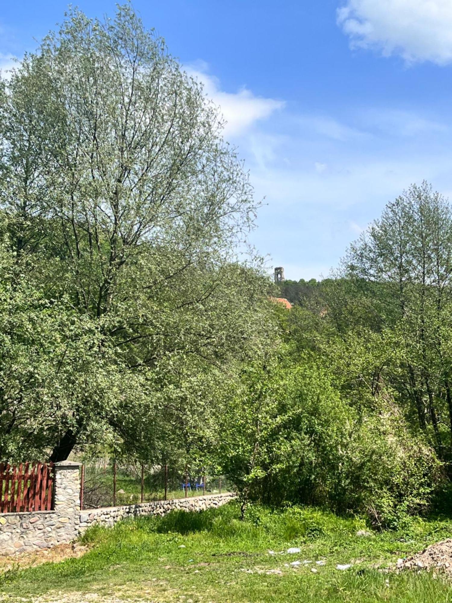 Hotel La Gradina Mehadija Zewnętrze zdjęcie