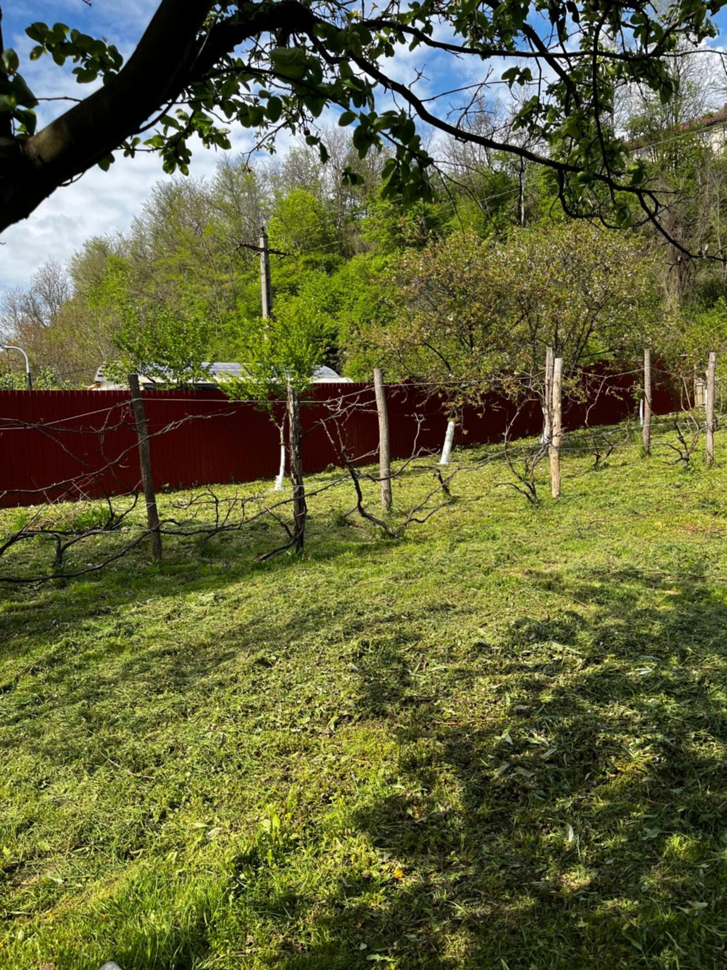 Hotel La Gradina Mehadija Zewnętrze zdjęcie