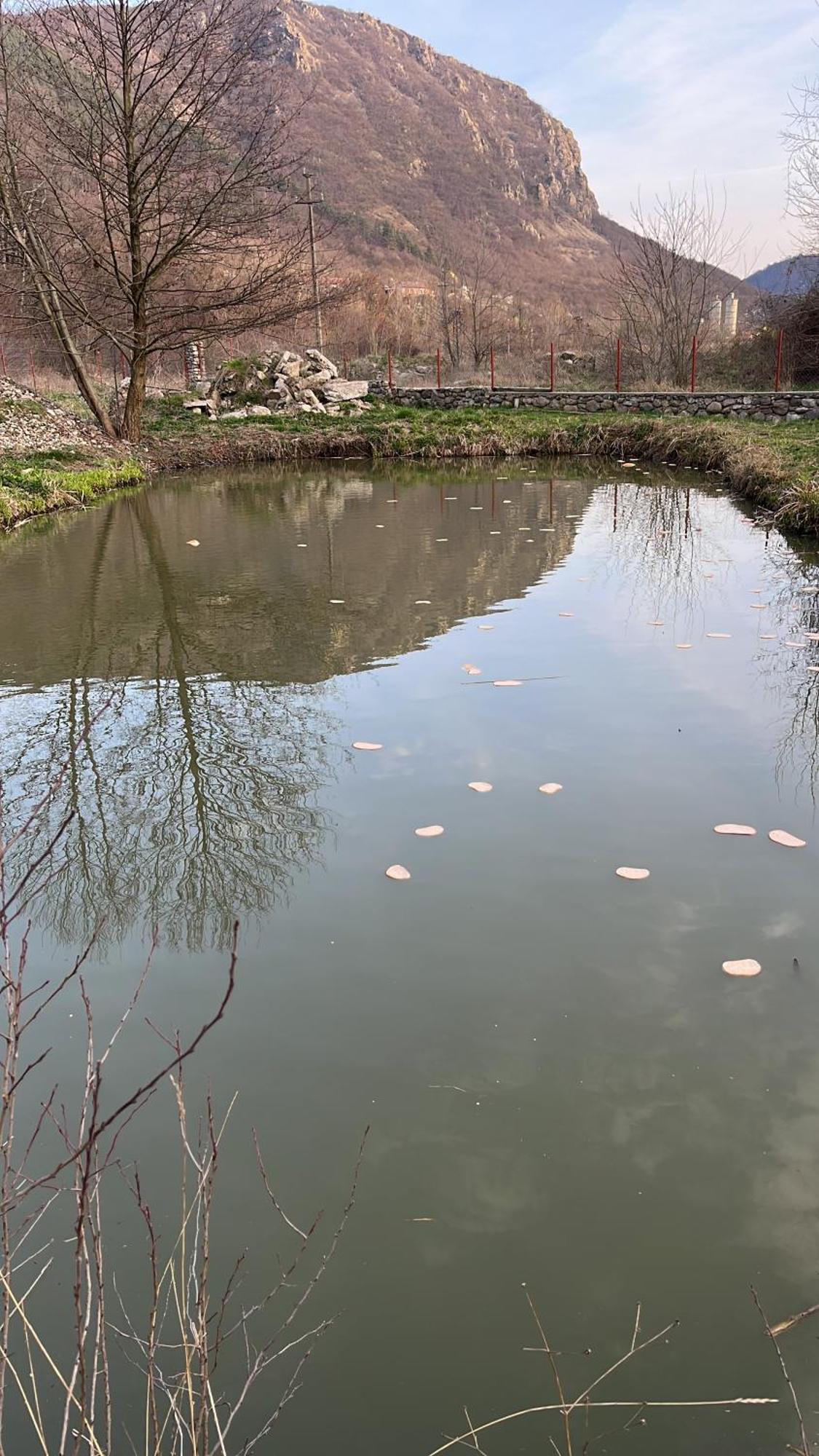 Hotel La Gradina Mehadija Zewnętrze zdjęcie