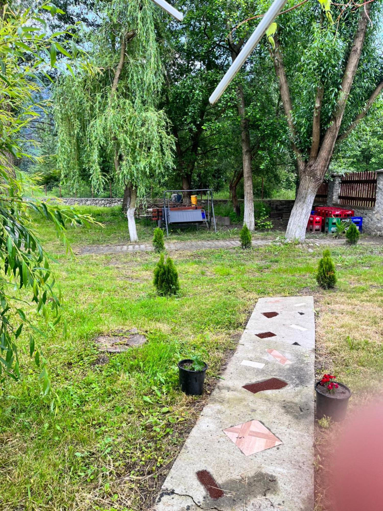 Hotel La Gradina Mehadija Zewnętrze zdjęcie