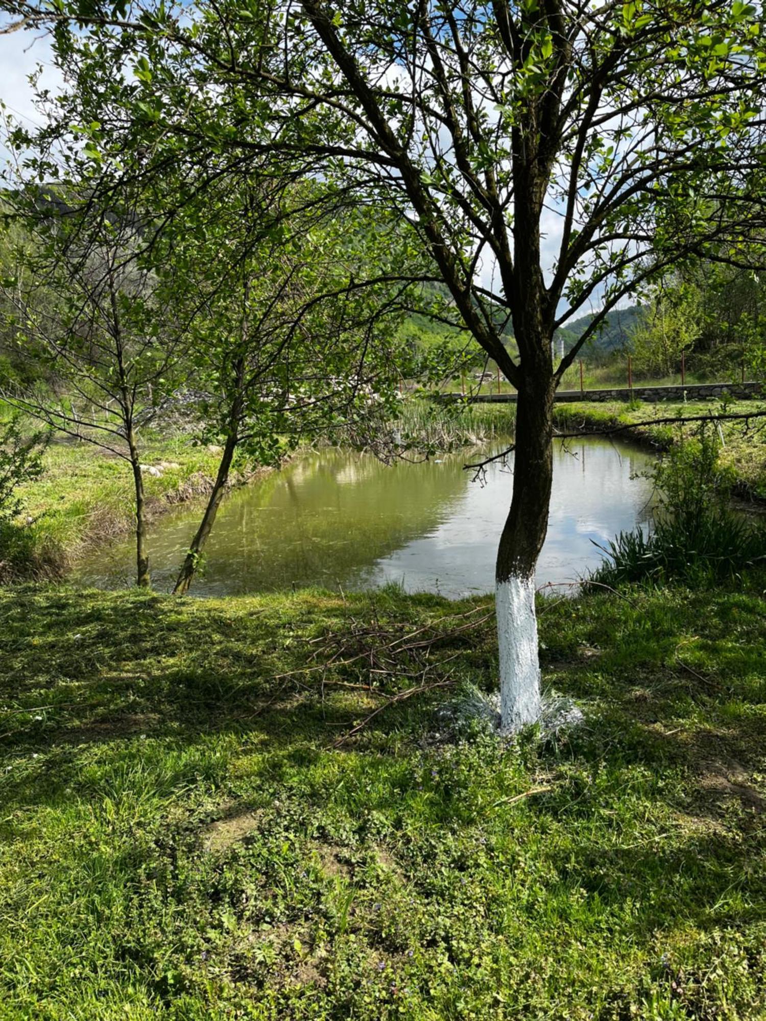Hotel La Gradina Mehadija Zewnętrze zdjęcie
